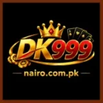 DK999 Game